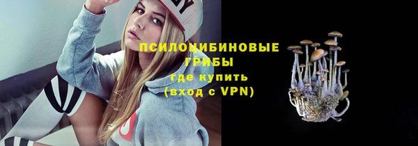 трава Белокуриха