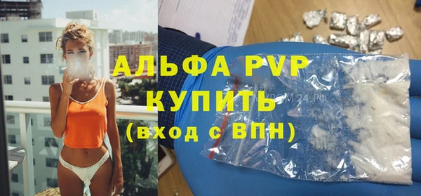 трава Белокуриха